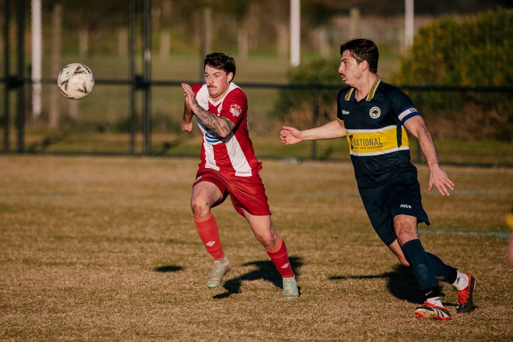 Waltzing Wilson inspires Yippers to vital victory post image