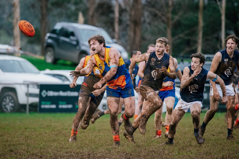 EDFNL Football Seniors: Ellinbank vs Catani - July 25, 2026 post image