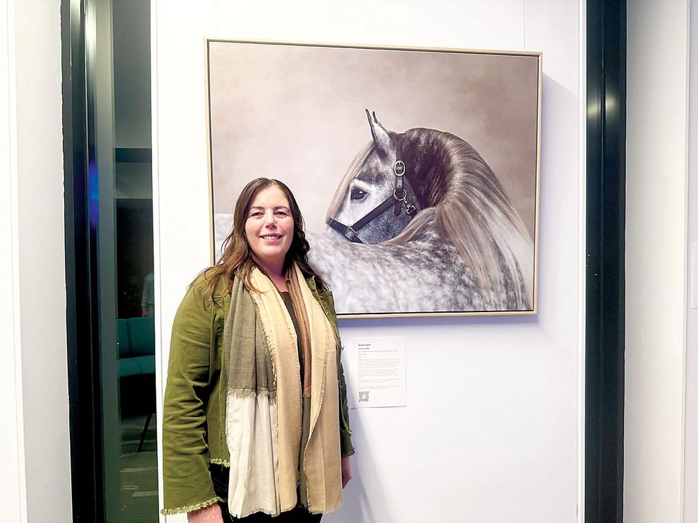Photographs capture"Art of the Horse" post image