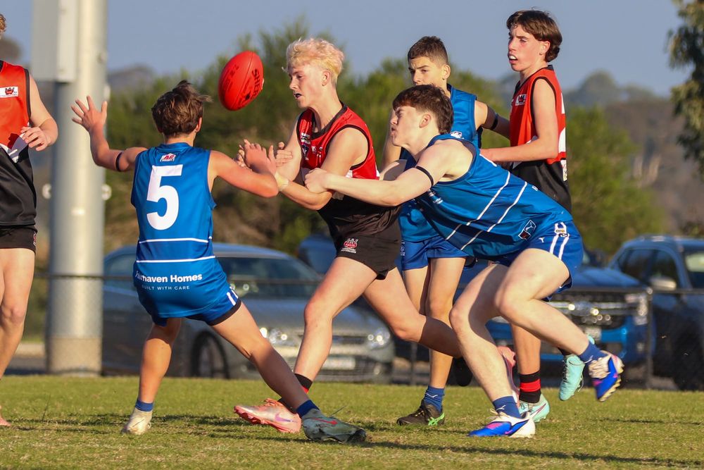 Interleague impresses post image