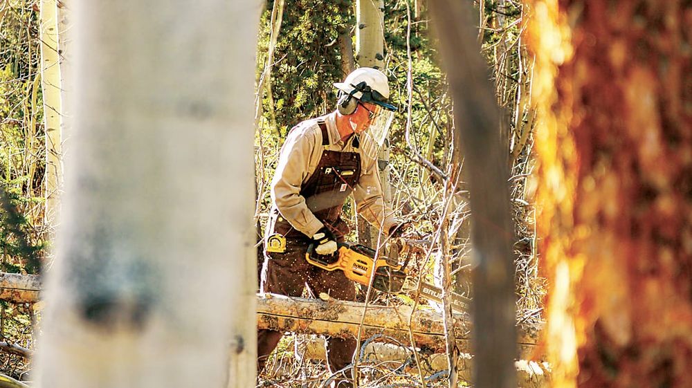 New laws leave farmers stumped post image