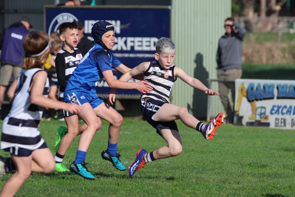WGFJC Under 10 Mixed: Nar Nar Goon Blue vs Catani - August 23, 2026 post image