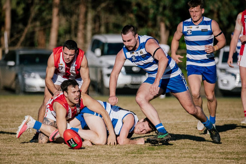 Bloods get the cream against Cats post image