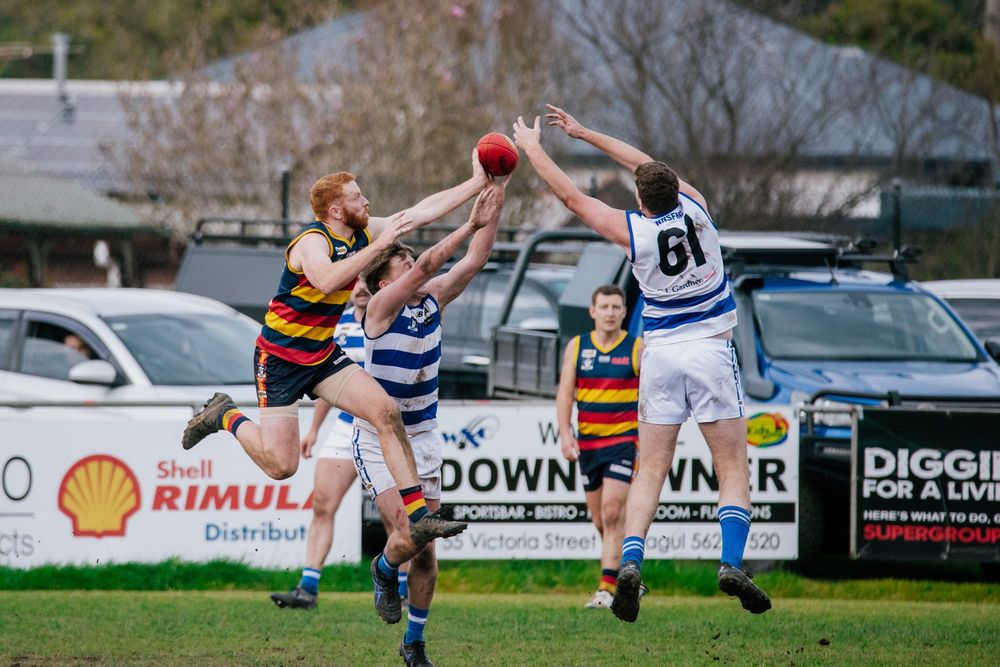 EDFNL Football Seniors: Longwarry vs Neerim-Neerim South - August 8, 2026 post image