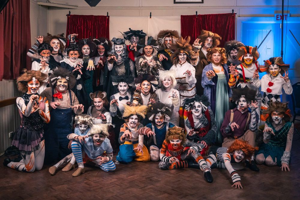CATS slink back on stage post image