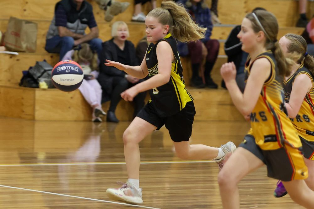 Basketball Under 12 Girls Gladiator Shadows vs Warranor Ballers - September 10, 2026 post image