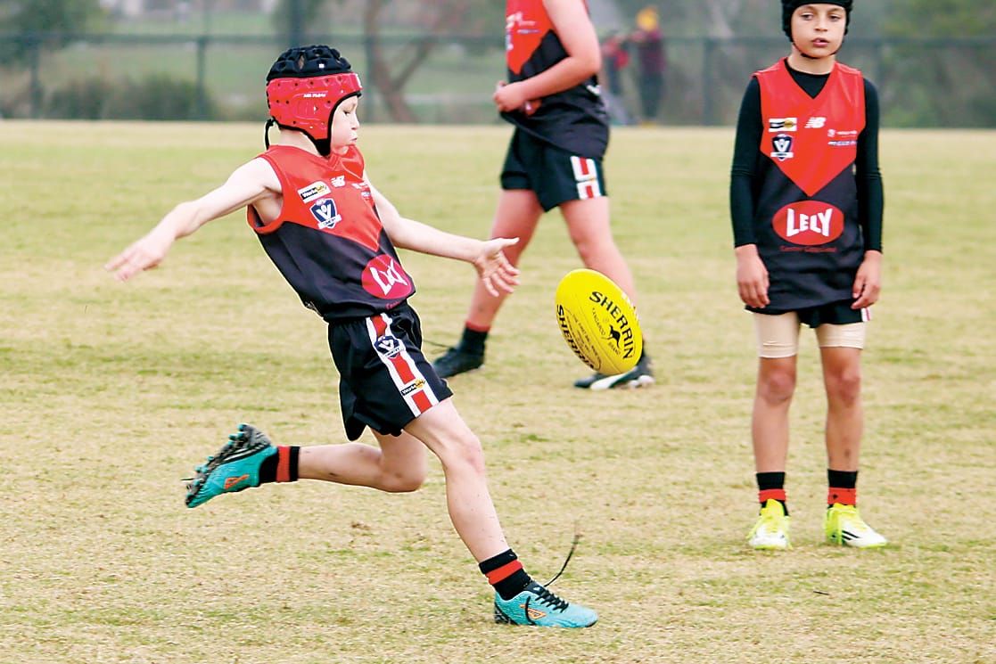 Gulls juniors soaring post image