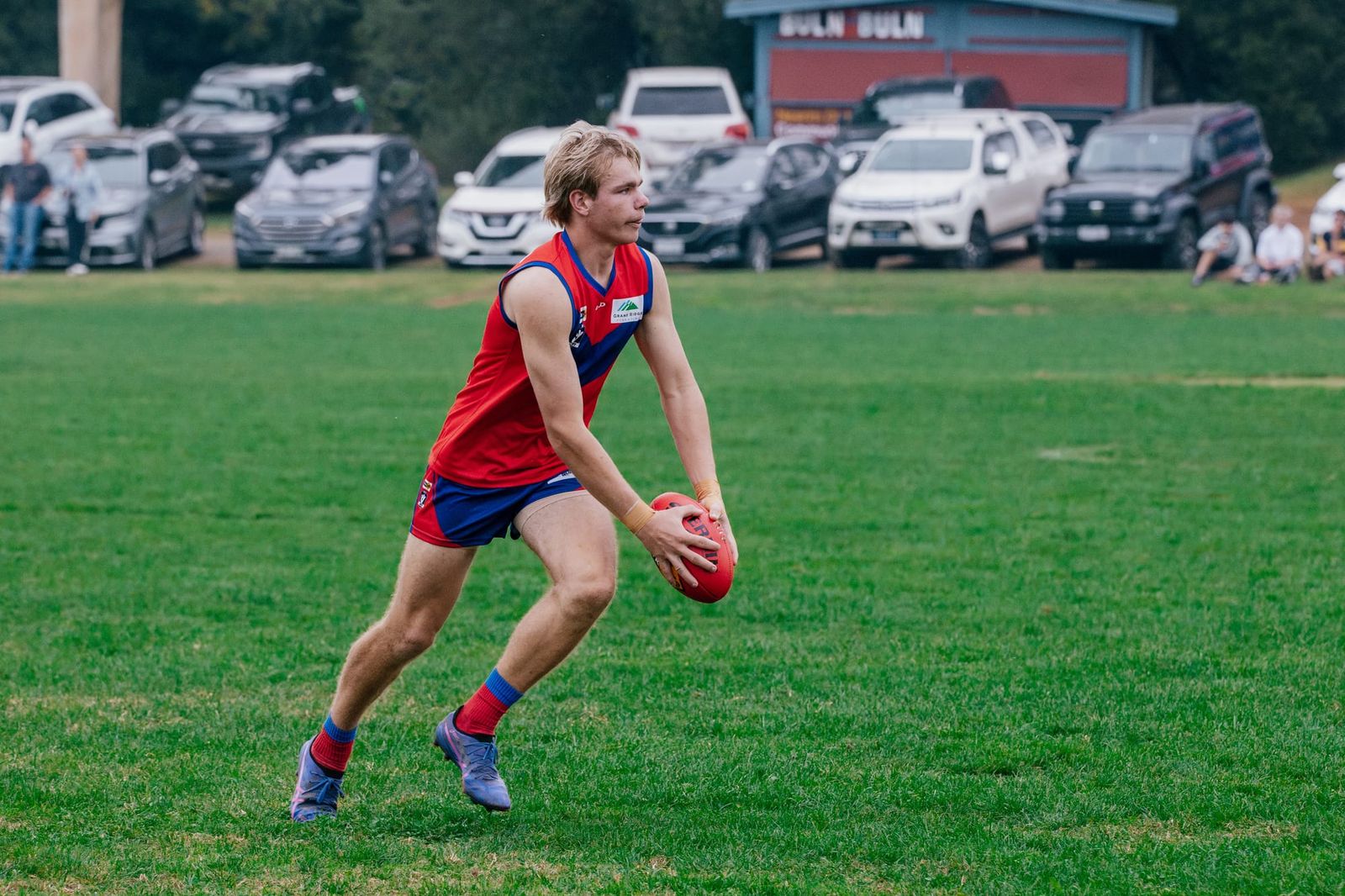 Lyrebirds look to beat Bulldogs post image