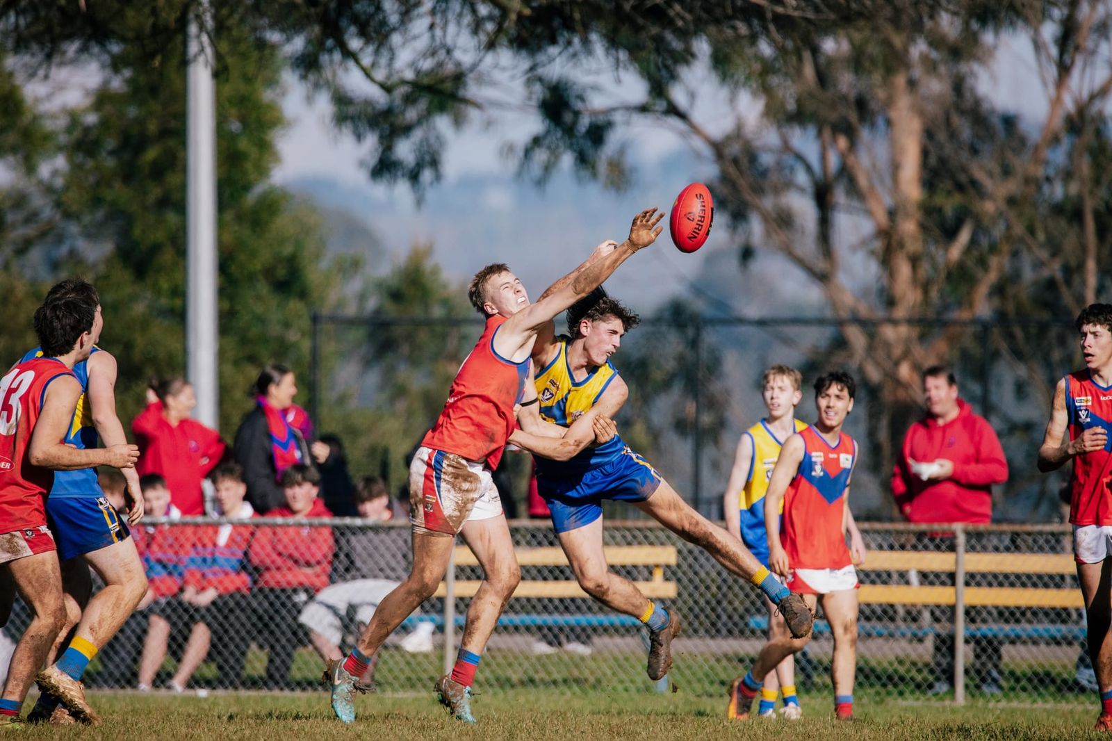 Bulldogs smash Saints post image