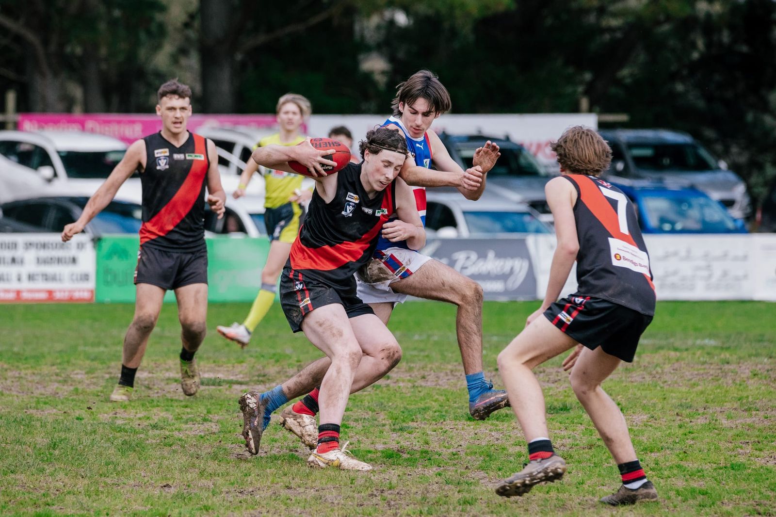 Lyrebirds hold off Cats in reserves post image