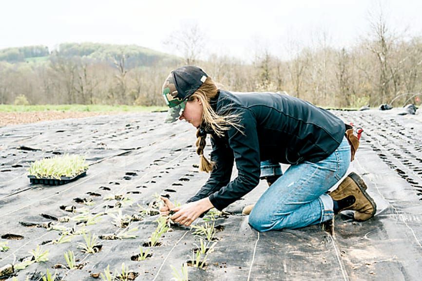 Young farmers backed post image