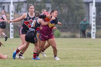 Double delight for Dusties post image