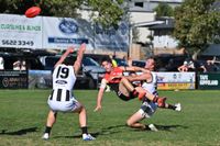 Records tumble in gargantuan Gulls win post image