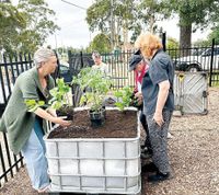 Renewal grants boost projects post image