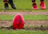 Stars suffer slog defeat post image