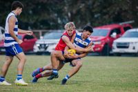 Lyrebirds punish inaccurate Cats post image