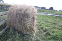 Cool weather still driving hay danger post image