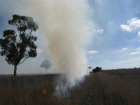 Ensure your burn-off is registered post image
