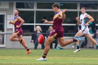 Dusties tame Cobras post image