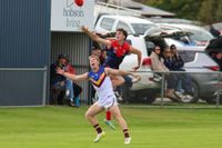 WGFNC Football Seniors: Dusties vs Koo Wee Rup - May 9, 2026 post image