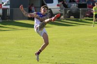 Dusties dee-ny Demons post image