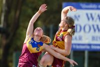 Williams leads way for Dusties post image