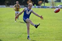 Blues press on over Hawks post image