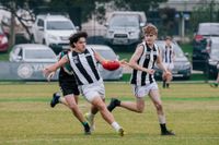Tigers twos hold on post image