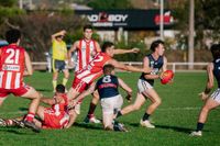EDFNL Senior Football: Trafalgar vs Catani - May 16, 2026 post image
