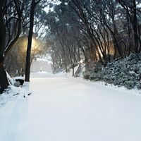 A May snow day on Baw Baw post image