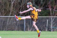 WGJFC Under 10 Mixed: Warranor vs Drouin Maroon - June 14, 2026 post image