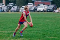 Lyrebirds look to beat Bulldogs post image