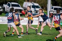 Tigers tame Bulldogs in reserves post image