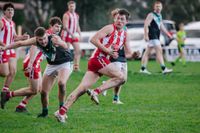Waterloo Cup win for Bloods post image