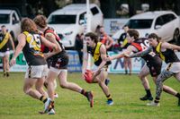 Tigers claw Bombers post image
