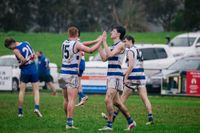Bulldogs win ugly in reserves post image