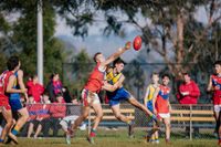 EDFNL Football Thirds: Ellinbank vs Buln Buln - June 27, 2026 post image