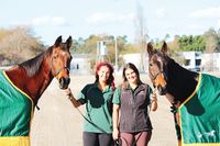 Legendary trotters a hit post image
