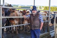 Opening milk prices disappointing post image