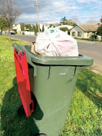 Bungled bin roll out post image