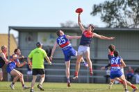 Bulldogs done in by Demons post image