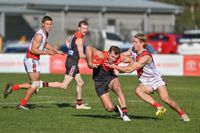 Gulls hold off racing Redlegs post image