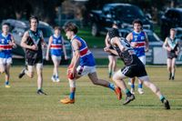 Tigers complete comeback in reserves post image