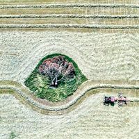Photographic award post image
