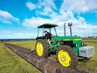 Poowong farmer ploughs fifth win post image