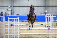 Anna hits new heights post image