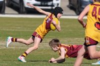 WGJFC Under 12 Mixed: Drouin Gold vs Drouin Maroon - August 16, 2026 post image