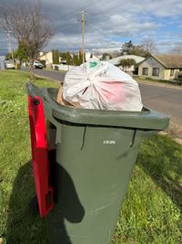 Special waste needs ignored by Council post image