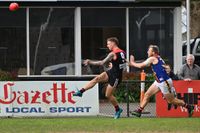 Lion surge stuns Gulls post image