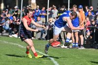 Blues bow out of finals post image